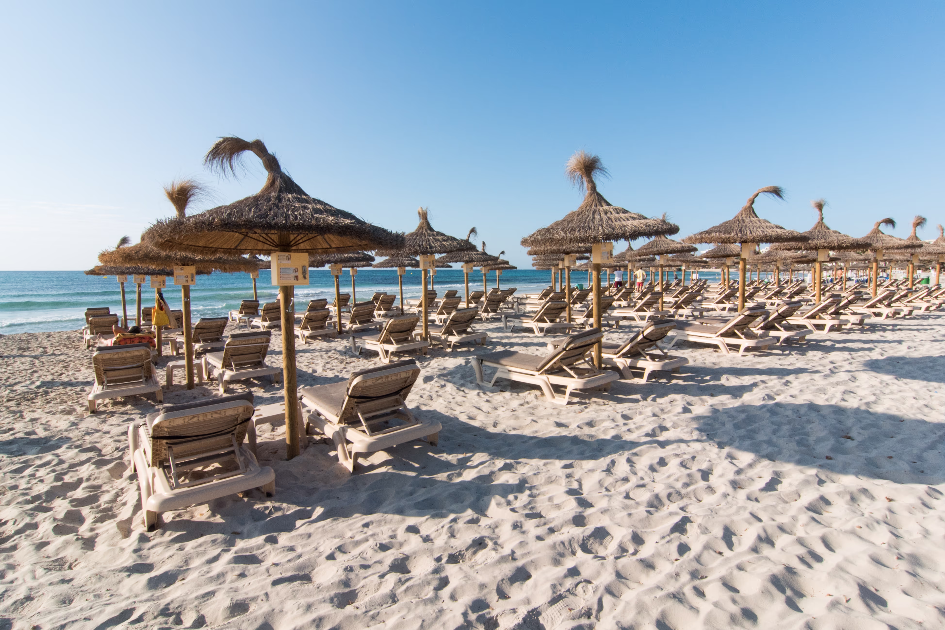 Sun umbrellas in the fine white sand on the beach of Sa Coma