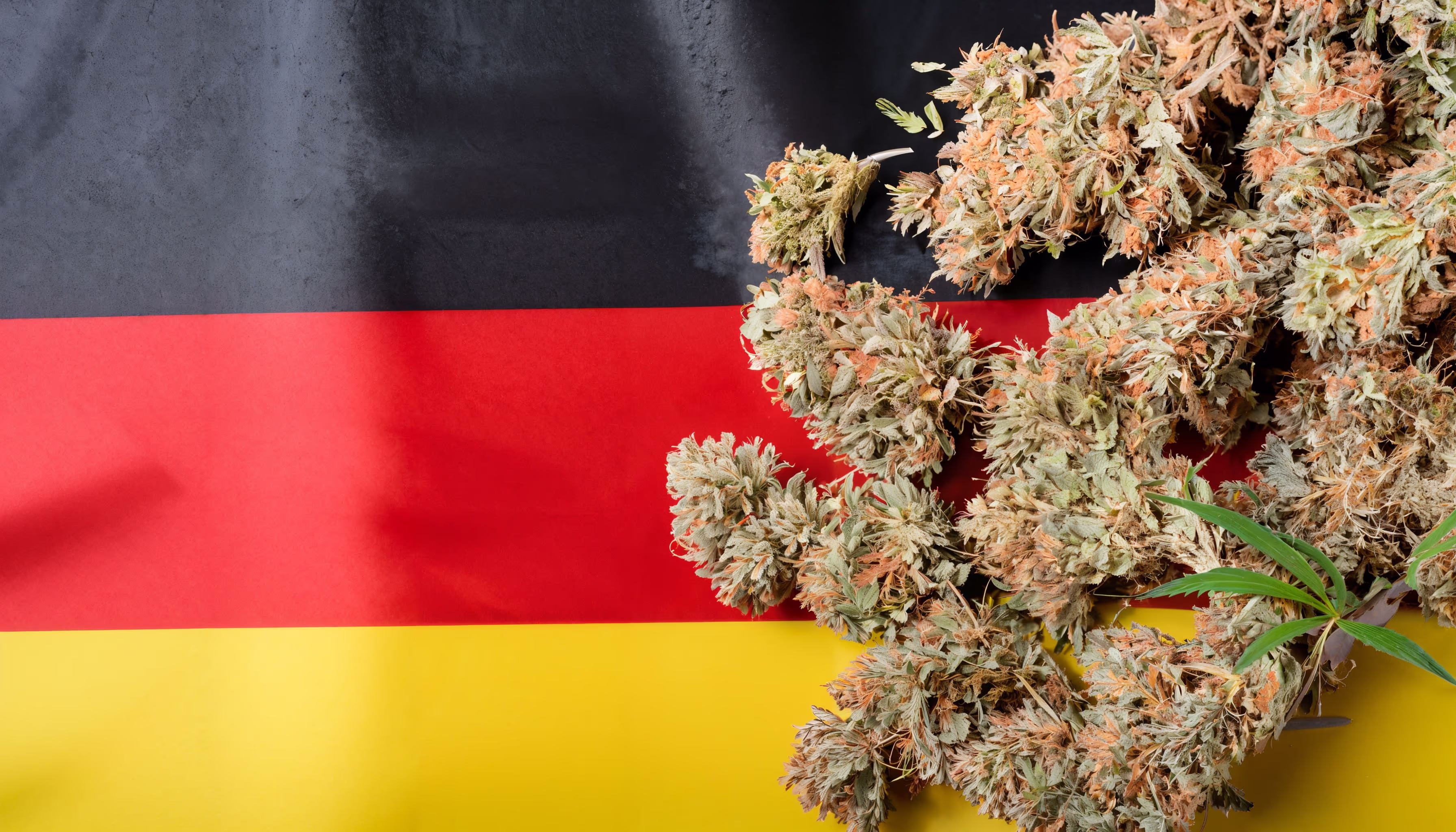 Cannabis Activism in Germany Cannabis Activism in Germany