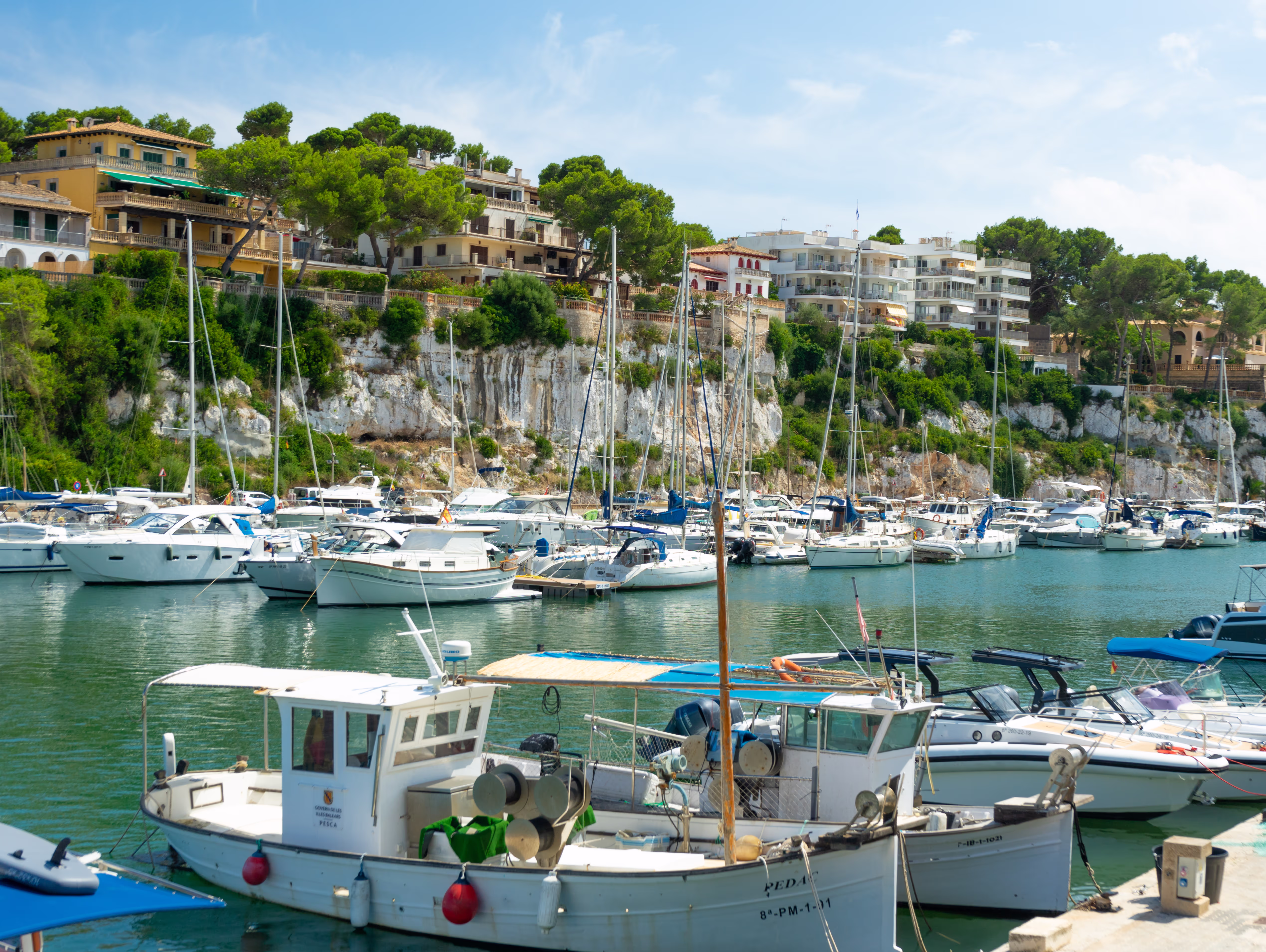 Fishing boats in the harbor of Porto Cristo. In the background the houses of the old town Fishing boats in the harbor of Porto Cristo. In the background the houses of the old town