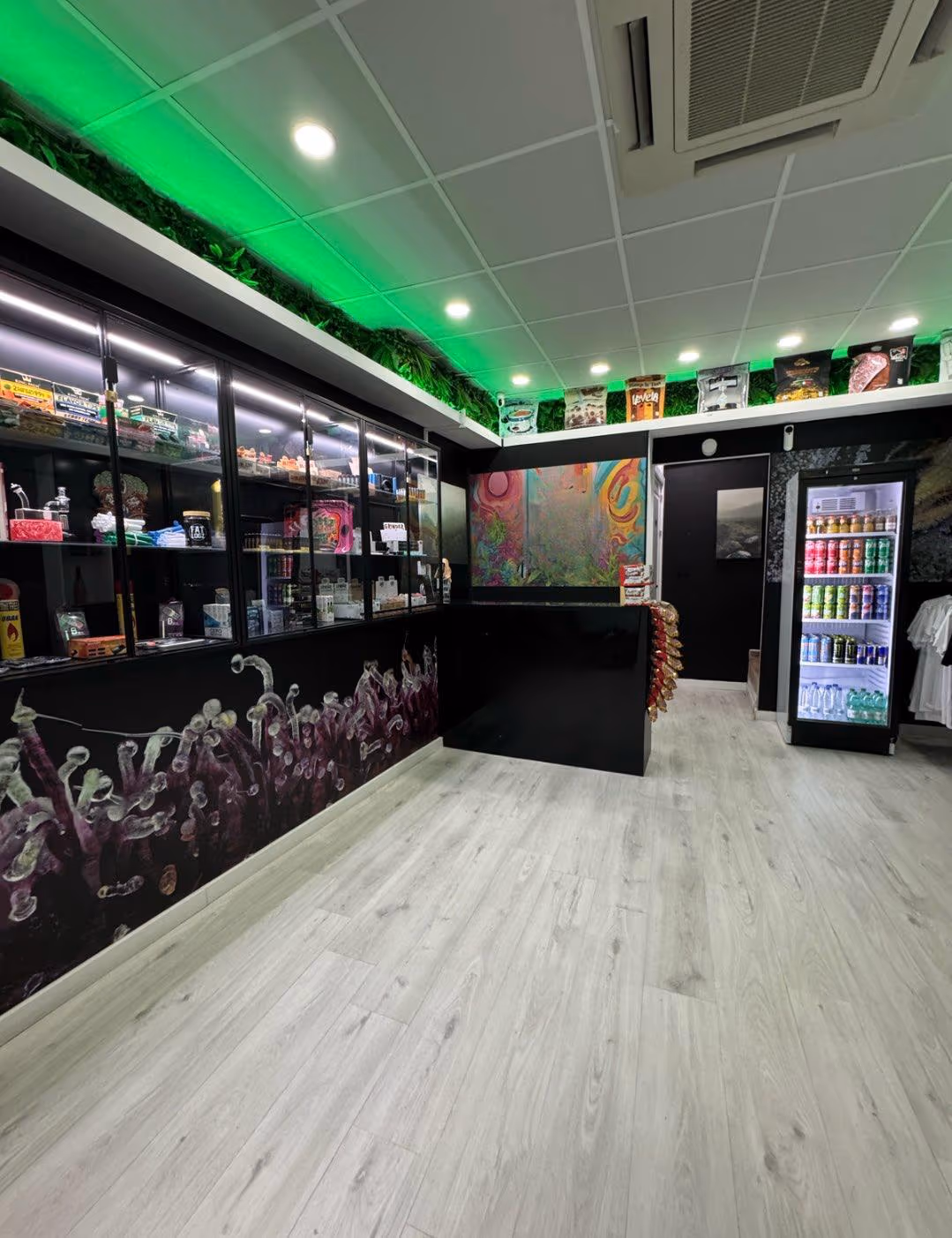 #706 Altitude 420 in Palma interior