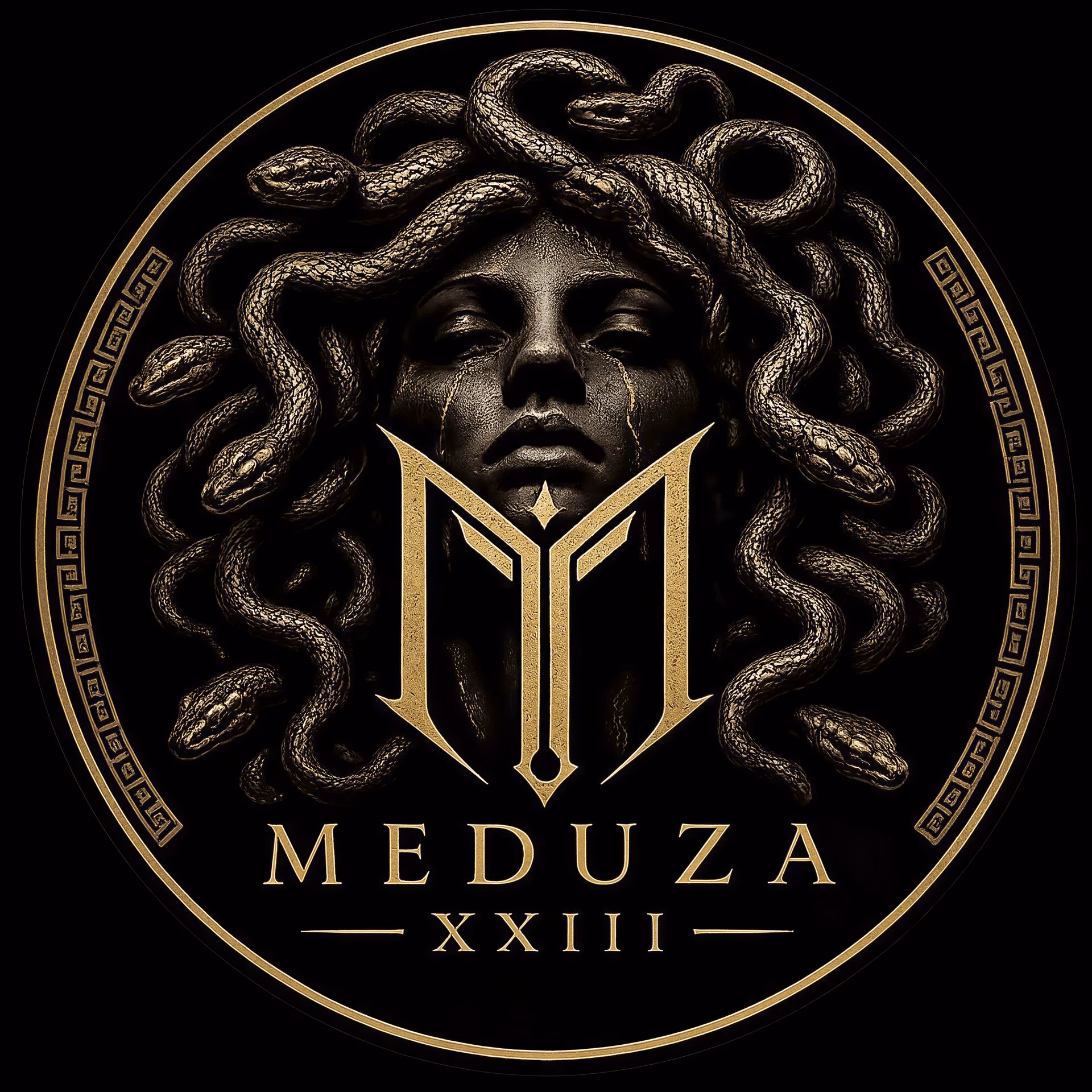 Medusa 23 logo