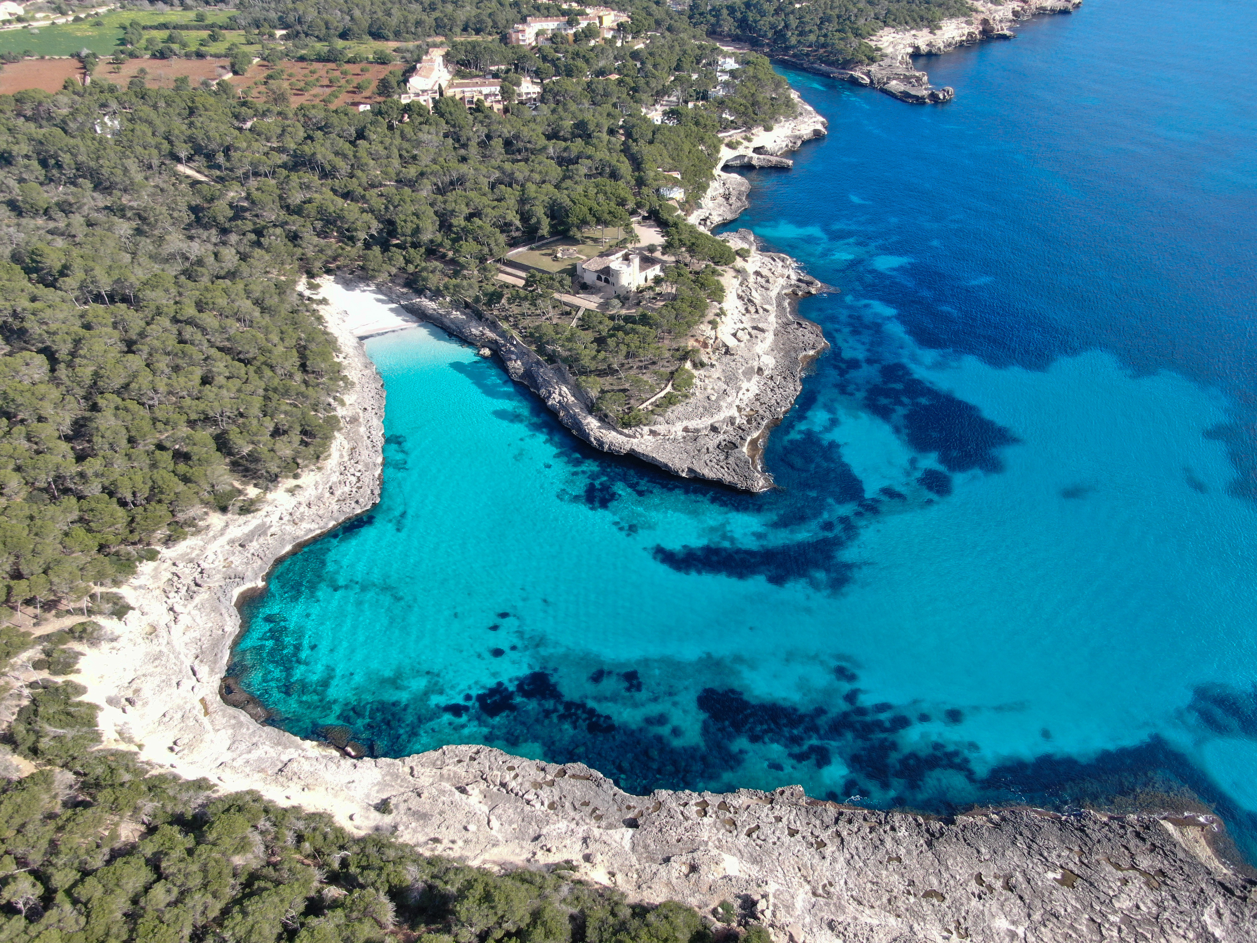 Drone shot of Cala Mandia, featuring rugged cliffs and a beautiful pine forest