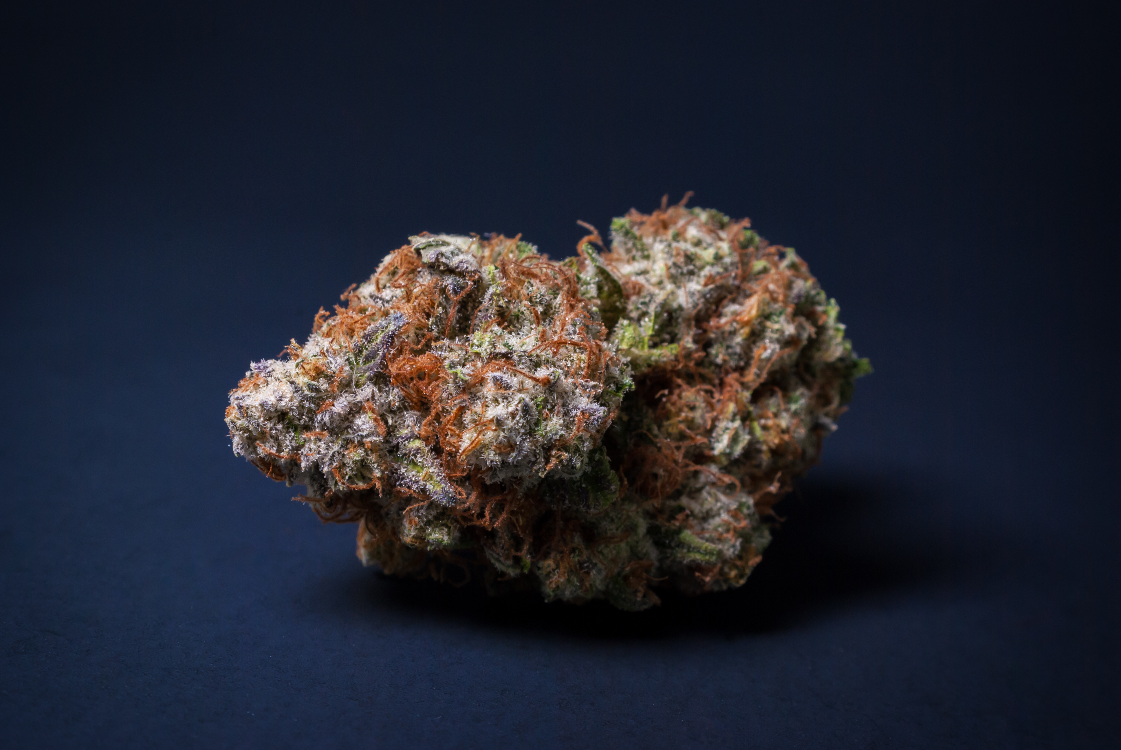 Cannabis/Weed Nug Ready for Consumption and Purchase in Camp de Mar
