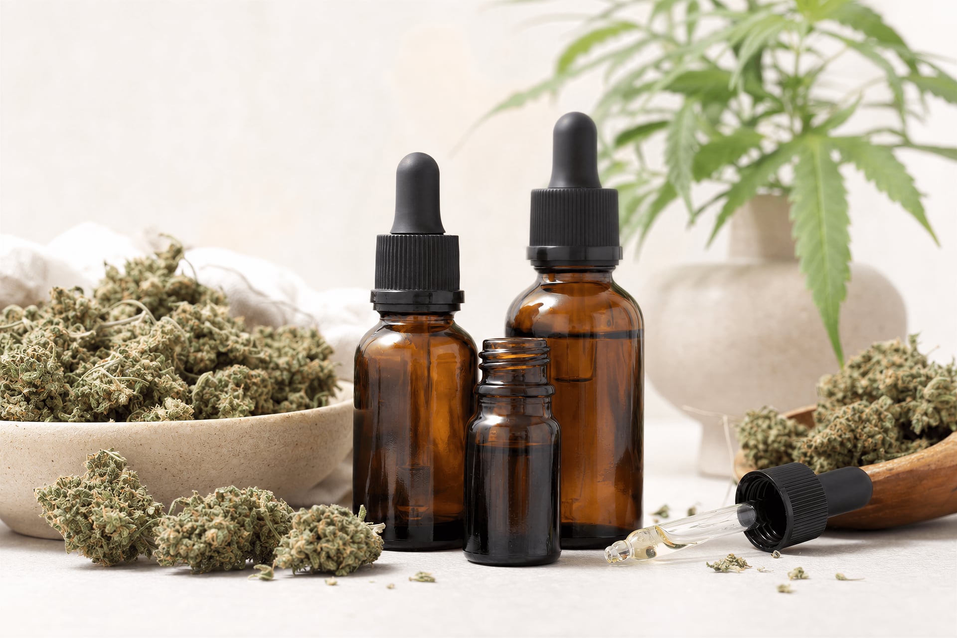 CBD and cannabis light in Spain — hemp product still-life