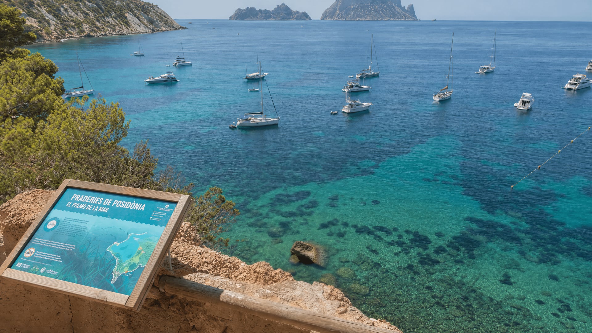 Boats anchored near Ibiza coastline with protected seagrass waters during summer