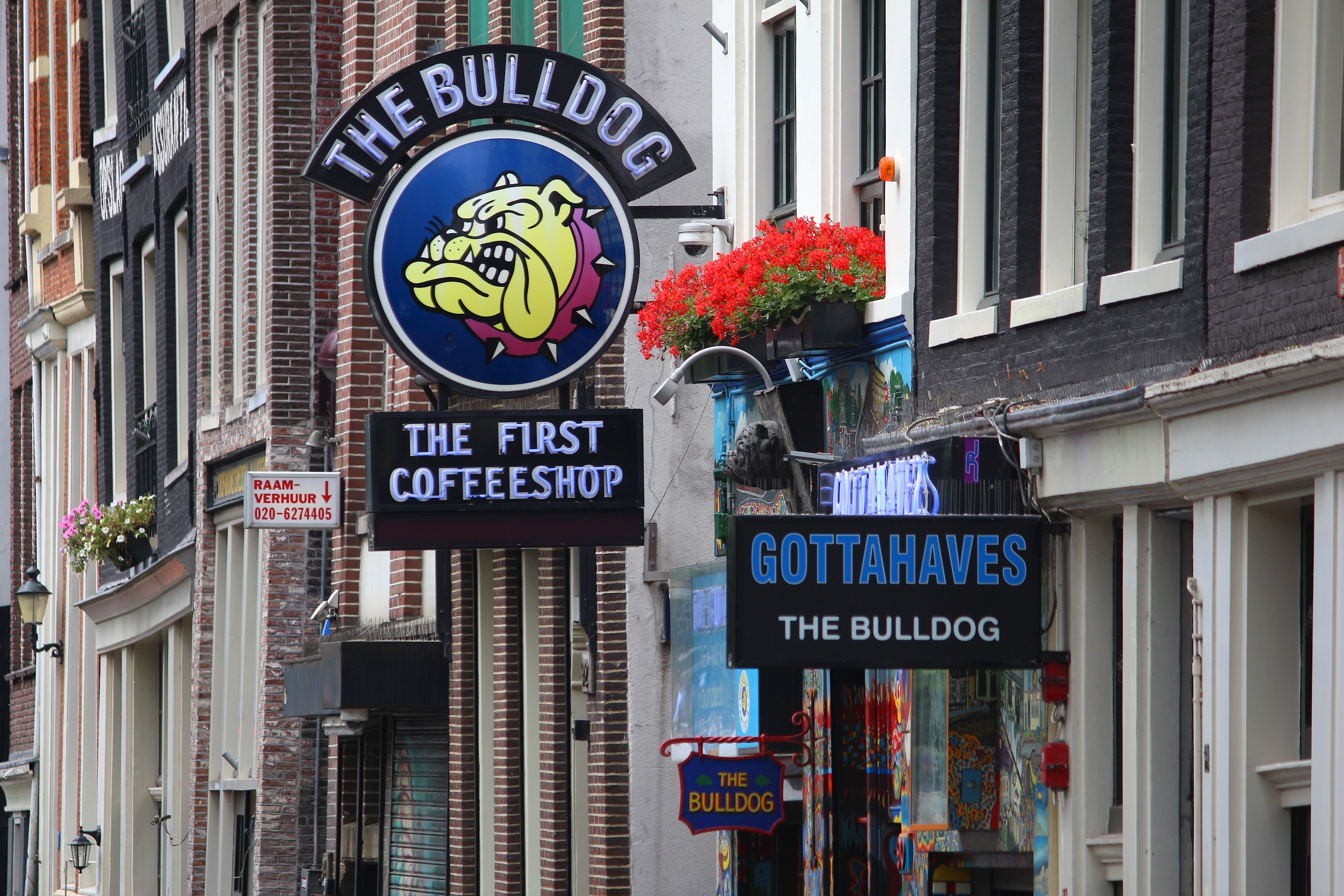 Coffeeshops in the Netherlands differ significantly from
