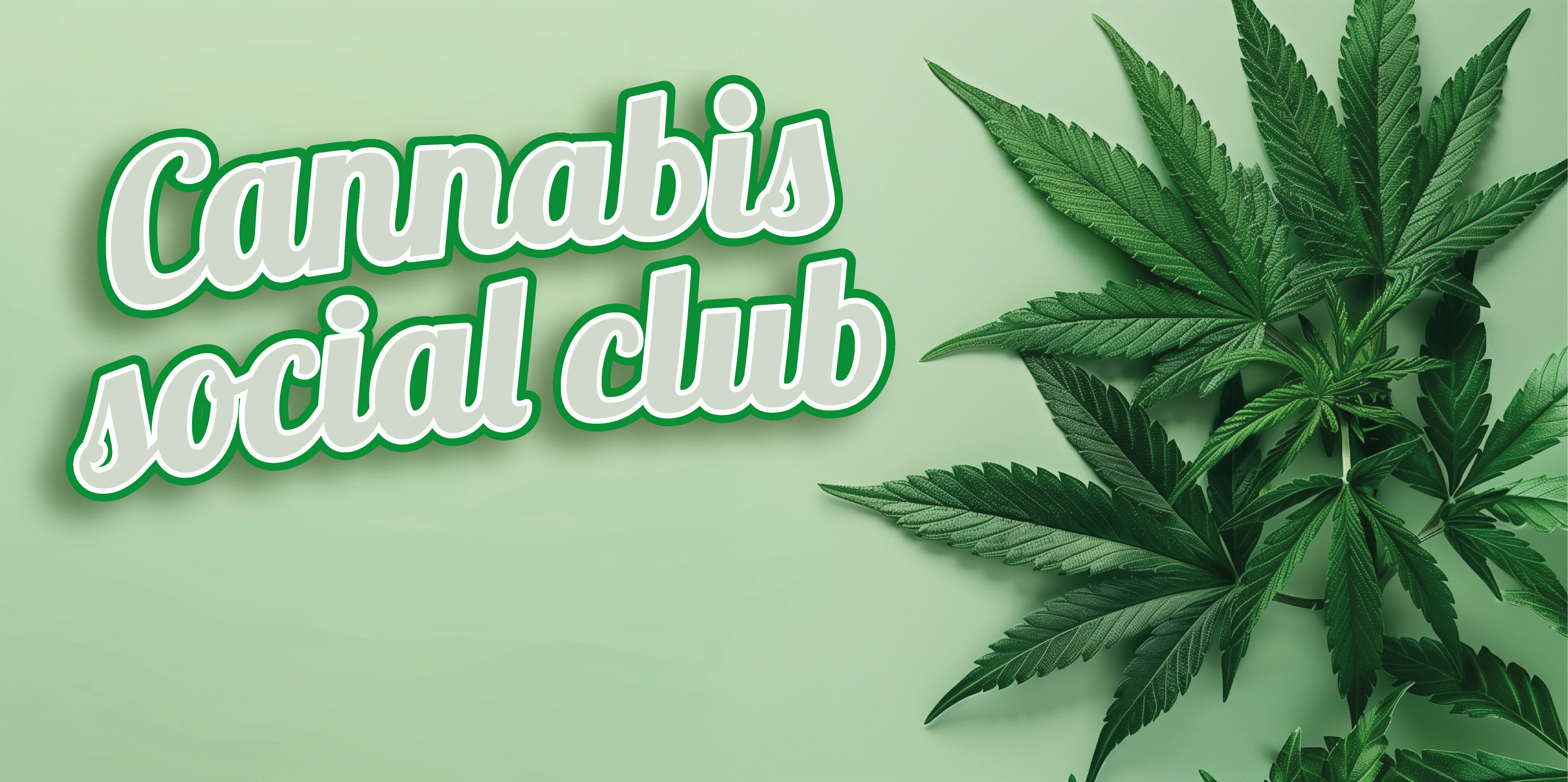 Cannabis Social Club (CSC) at Ballermann