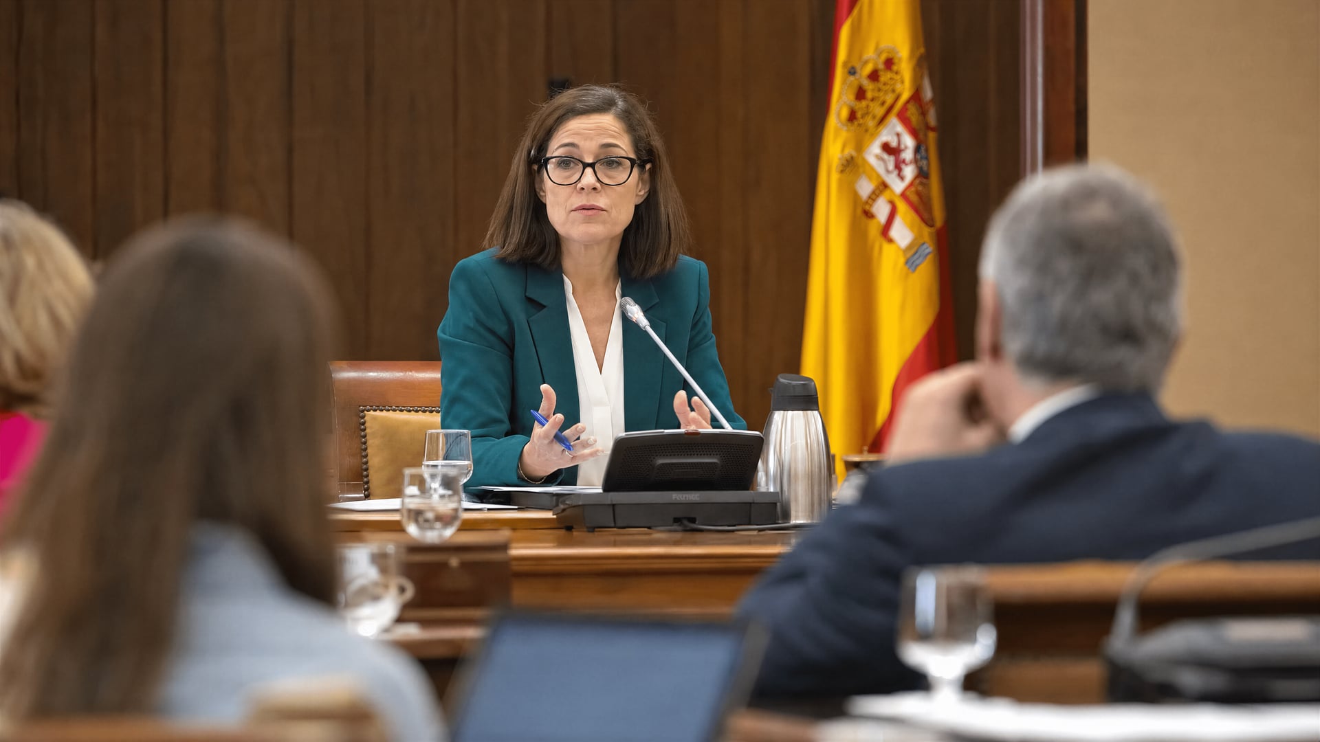 Spanish Senate committee hearing room with microphones and Javier Padilla at the witness table.