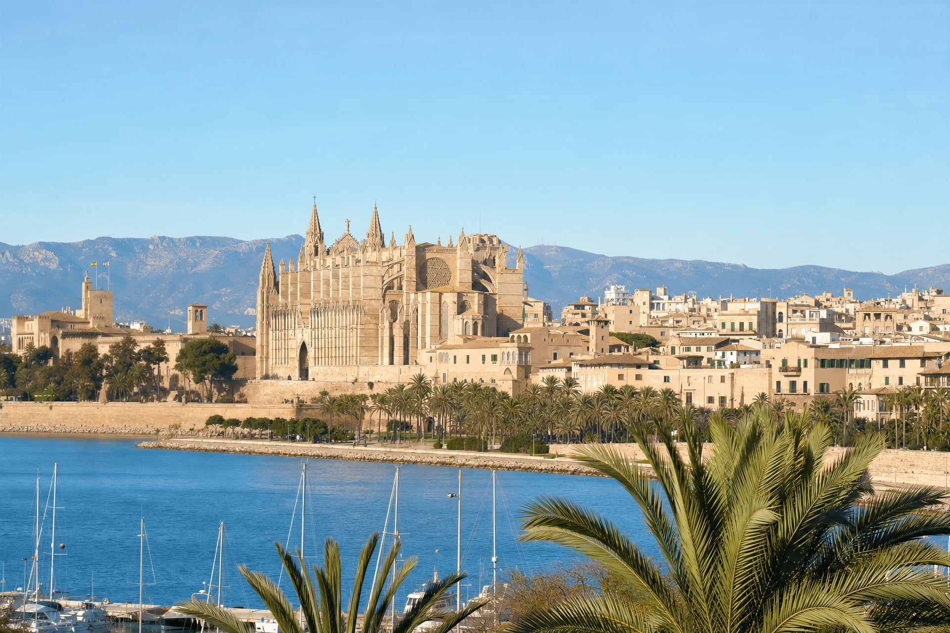 Cannabis and the law in Spain — Palma de Mallorca cathedral and old town